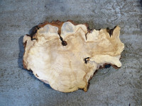 Bříza 01 - koláč