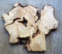 Bříza 03 - koláč